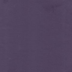 Фотография violet