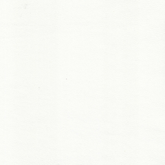 Фотография white