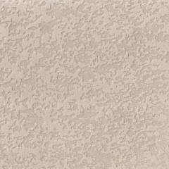 Фотография beige