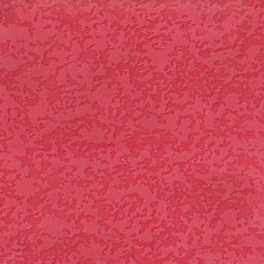 Фотография coral