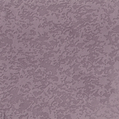Фотография lavender