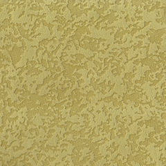 Фотография lime