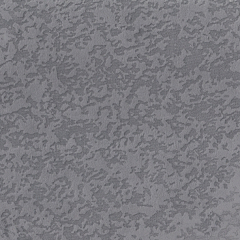 Фотография sliver